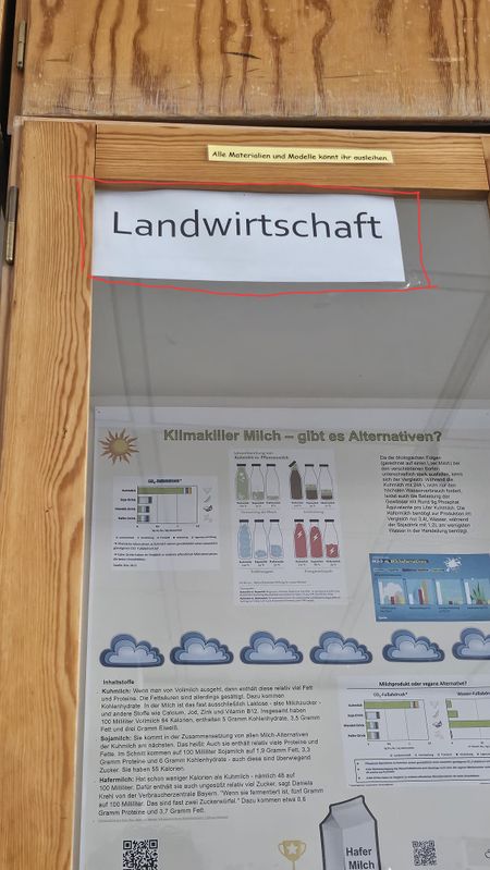 Datei:Bild2.jpeg